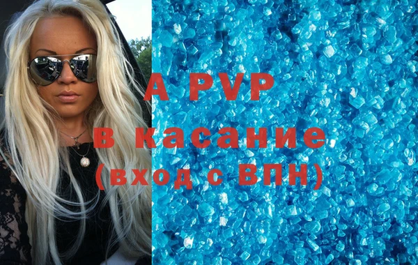 ПСИЛОЦИБИНОВЫЕ ГРИБЫ Михайлов