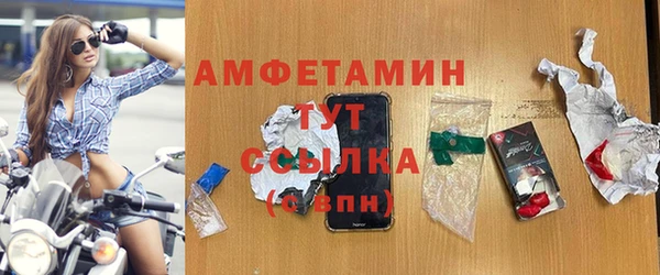 ПСИЛОЦИБИНОВЫЕ ГРИБЫ Михайлов