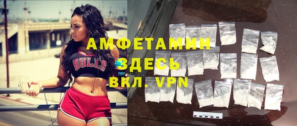 ПСИЛОЦИБИНОВЫЕ ГРИБЫ Михайлов