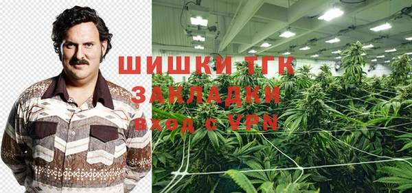 ПСИЛОЦИБИНОВЫЕ ГРИБЫ Михайлов