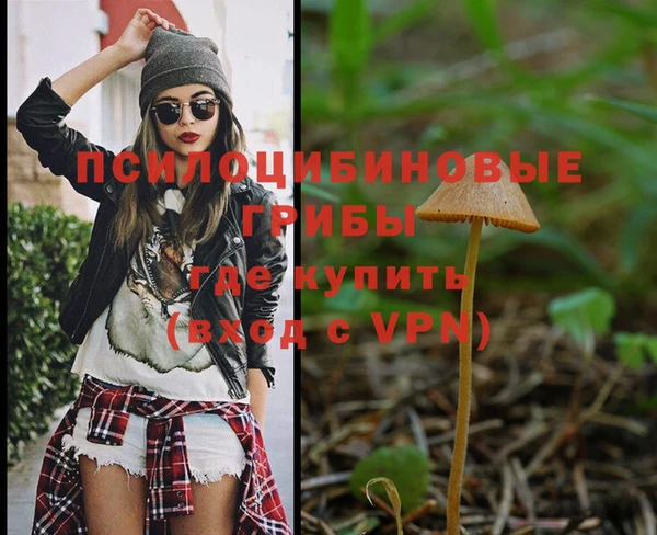 твердый Михайловка