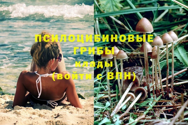 ПСИЛОЦИБИНОВЫЕ ГРИБЫ Михайлов