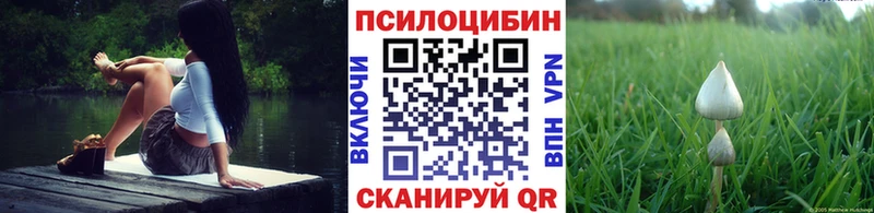 Галлюциногенные грибы Cubensis  купить наркоту  Юрьевец 